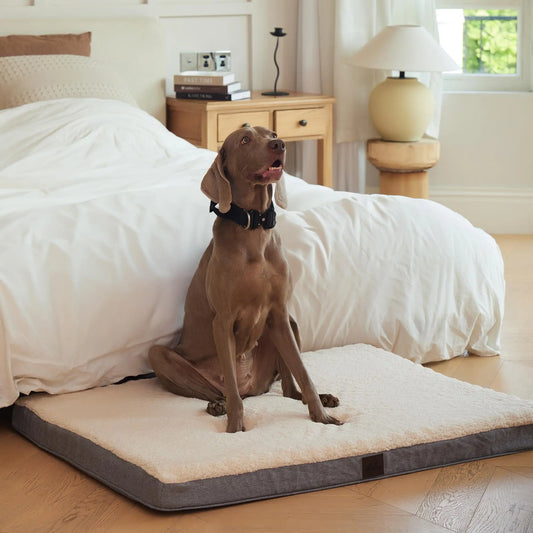 OrthoComfort XL Dog Bed for Large Breeds - Shopinapets