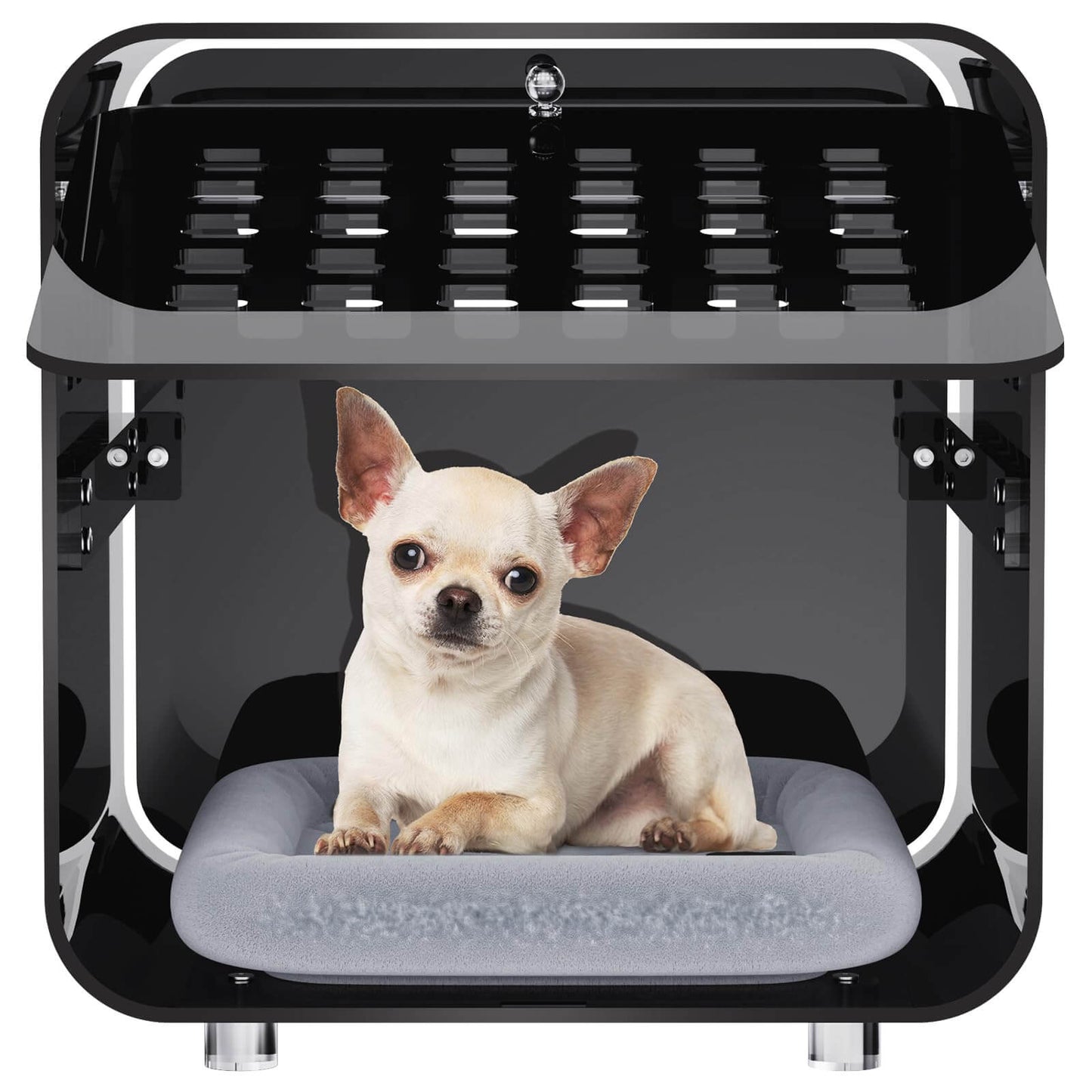 Acrylic Small Animal Crate with Cushioned Mat Shopinapets