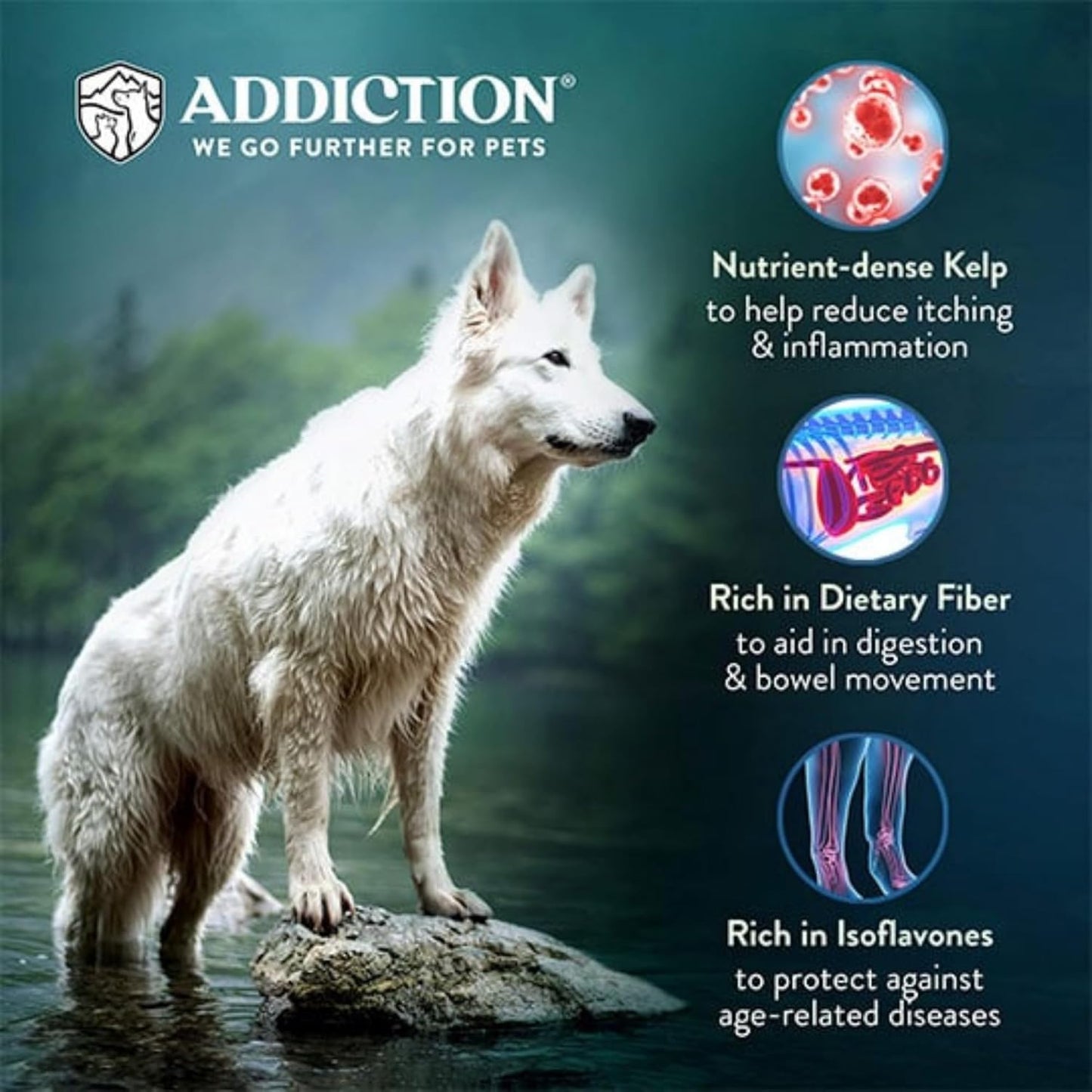 Addiction Zen Vegetarian Dry Dog Food Rich in Isoflavones and Antioxidants Vegetarian Dog Food 20lb - Shopinapets Addiction Zen Vegetarian Dry Dog Food Rich in Isoflavones and Antioxidants Vegetarian Dog Food 20lb Shopinapets #