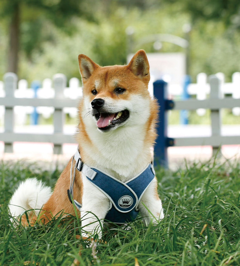 Adjustable Reflective Mesh Dog Harness Vest for Small and Large Dogs - Breathable Chest Strap - Shopinapets Adjustable Reflective Mesh Dog Harness Vest for Small and Large Dogs - Breathable Chest Strap Shopinapets #