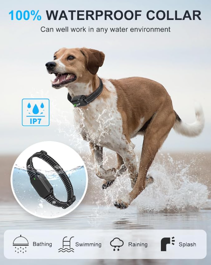 Anti Shock Dog Training Collar for 2 Dogs - Shopinapets Anti Shock Dog Training Collar for 2 Dogs Shopinapets #
