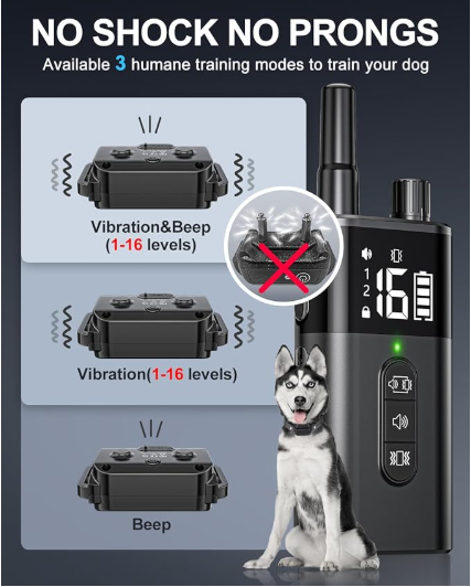 Anti Shock Dog Training Collar for 2 Dogs - Shopinapets Anti Shock Dog Training Collar for 2 Dogs Shopinapets #