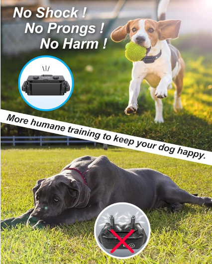 Anti Shock Dog Training Collar for 2 Dogs - Shopinapets Anti Shock Dog Training Collar for 2 Dogs Shopinapets #