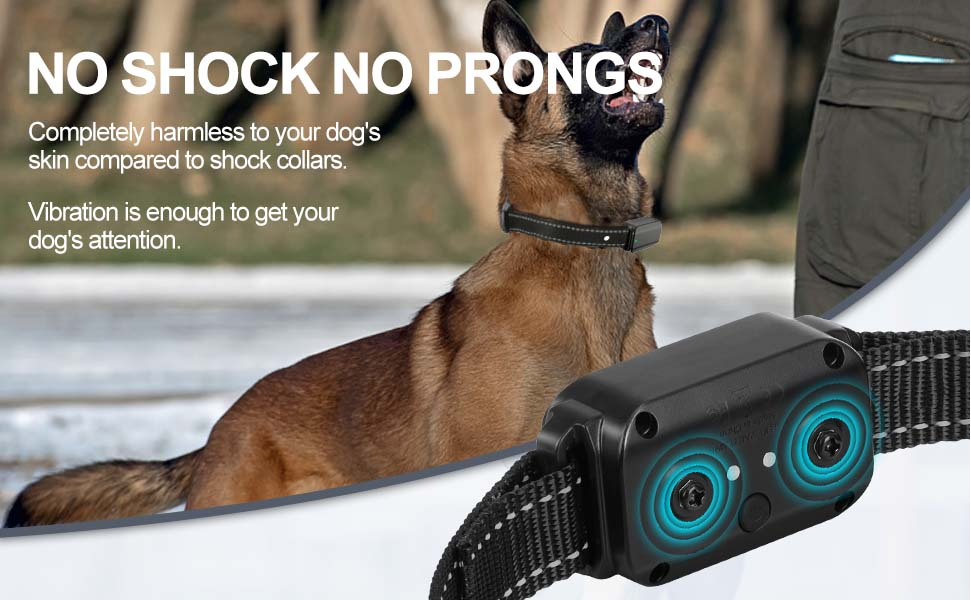 Anti Shock Dog Training Collar for 2 Dogs - Shopinapets Anti Shock Dog Training Collar for 2 Dogs Shopinapets #