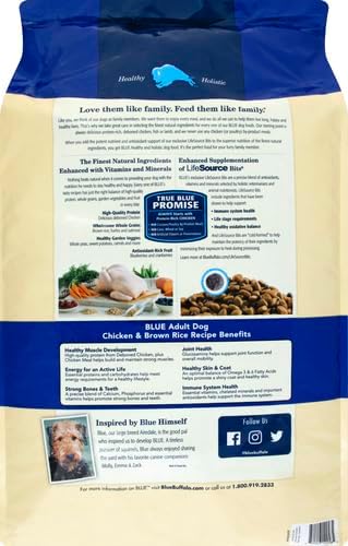 A bag of BLUE Healthy Holistic dog food highlighting its chicken and brown rice recipe with benefits for health, nutrition, and overall well-being.