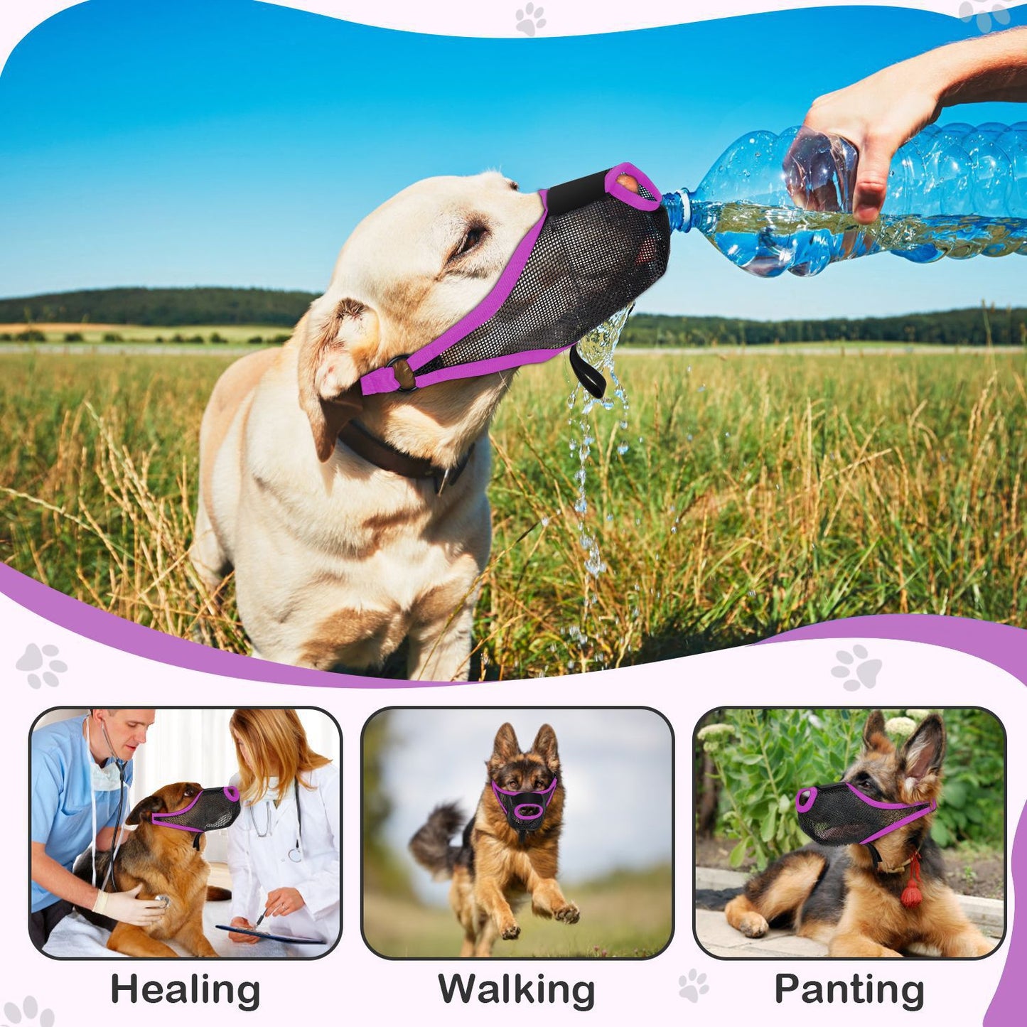 Breathable Mesh Dog Muzzle for Behavior Control: Prevents Barking, Biting, and Chewing - Shopinapets Breathable Mesh Dog Muzzle for Behavior Control: Prevents Barking, Biting, and Chewing Shopinapets #