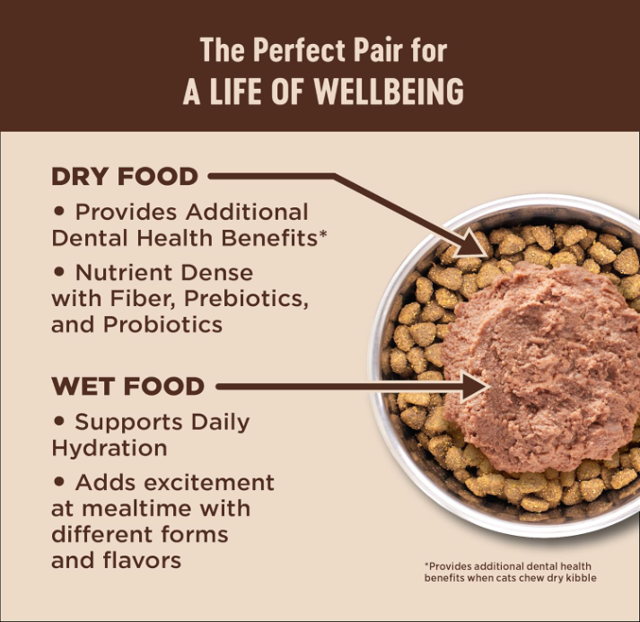 CORE+ Wholesome Grains Salmon & Rice High-Protein Cat Food, Prebiotic Coating, 5 lbs - Shopinapets CORE+ Wholesome Grains Salmon & Rice High-Protein Cat Food, Prebiotic Coating, 5 lbs Shopinapets #
