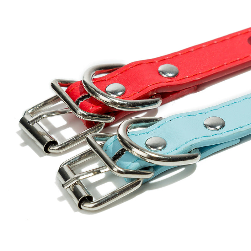 Dog Collar - Fashionable Durable High-quality- Popular Pet Comfortable Sturdy Collar - Shopinapets Dog Collar - Fashionable Durable High-quality- Popular Pet Comfortable Sturdy Collar Shopinapets #