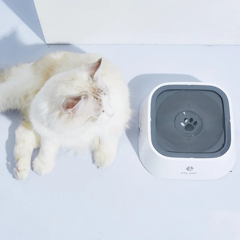 A cat lies next to a pet water bowl.