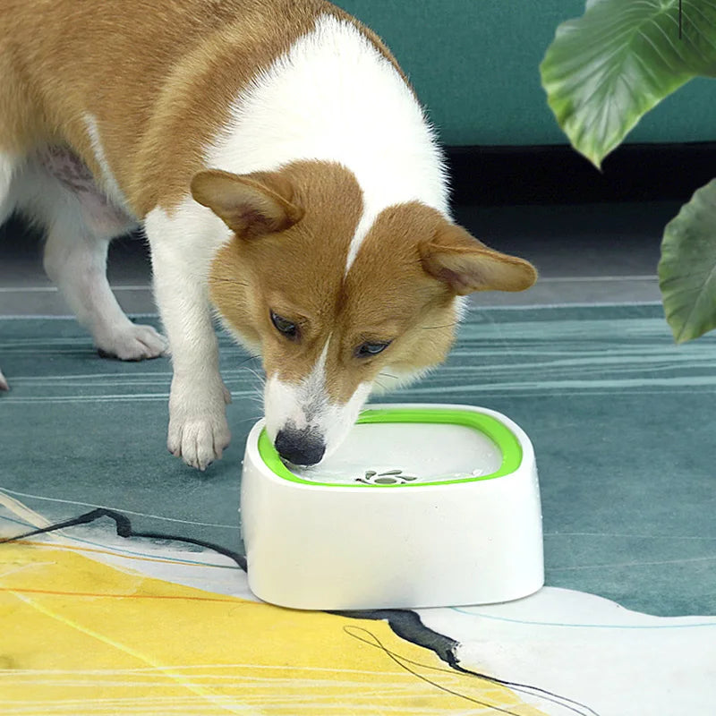 A dog is drinking water from a water bowl.