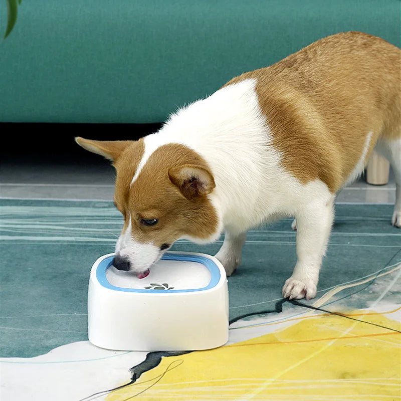 A dog is drinking water from a water bowl.