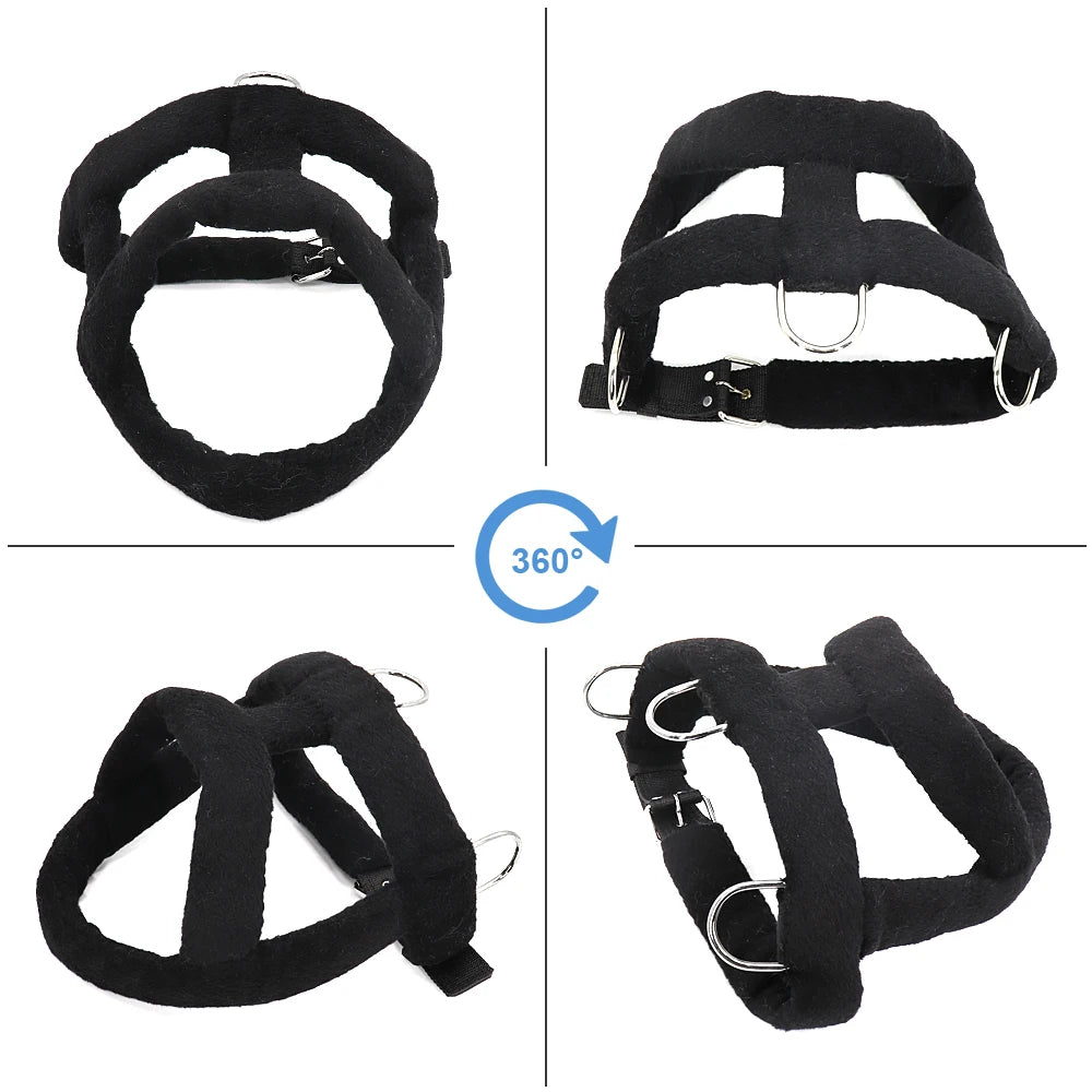 Four distinct positions for a black pet harness