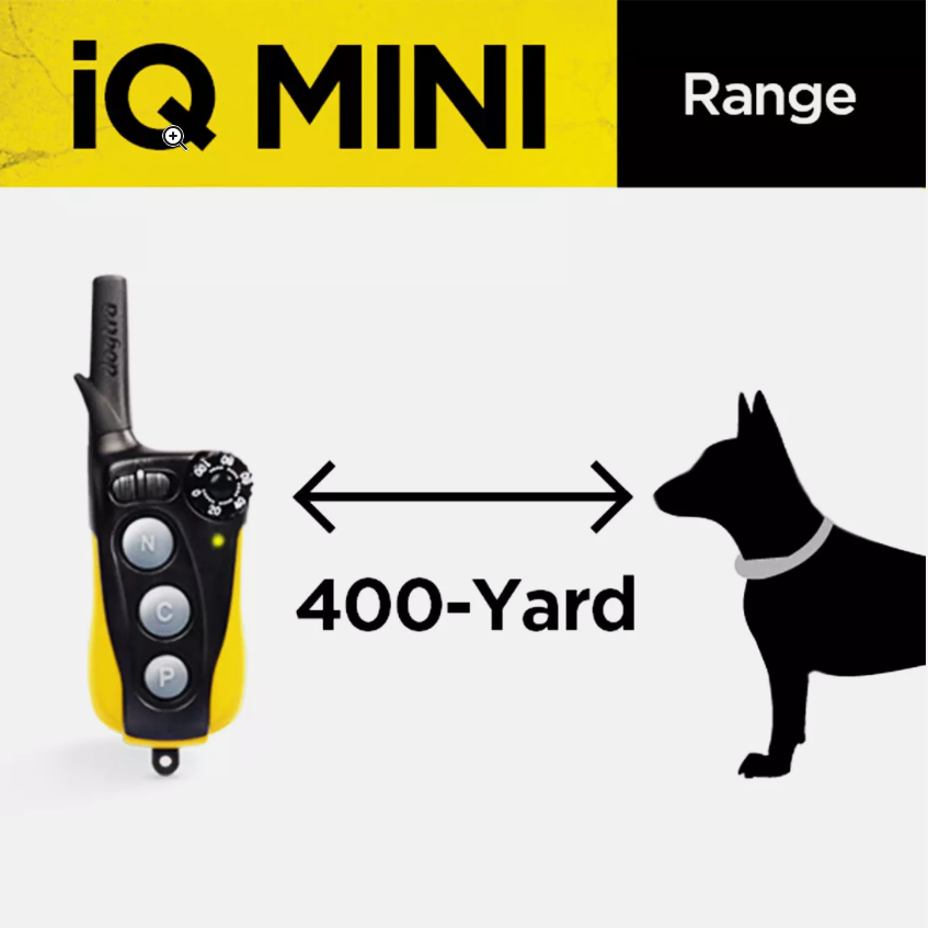 Dogtra IQ Mini 2-Dogs Remote Dog Training System for Smaller Dogs - 400 Yard Range - Shopinapets Dogtra IQ Mini 2-Dogs Remote Dog Training System for Smaller Dogs - 400 Yard Range Shopinapets #