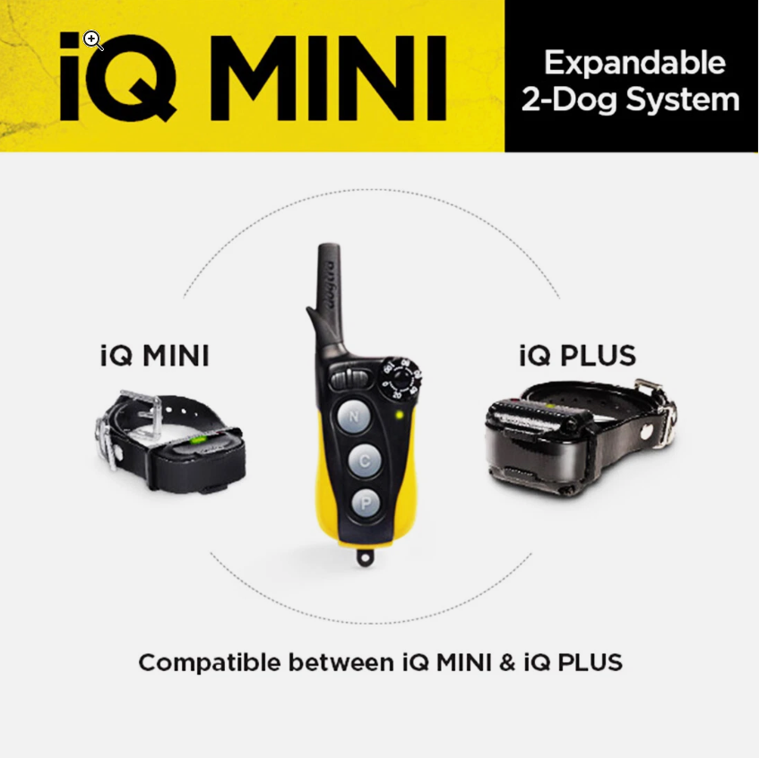 Dogtra IQ Mini 2-Dogs Remote Dog Training System for Smaller Dogs - 400 Yard Range - Shopinapets Dogtra IQ Mini 2-Dogs Remote Dog Training System for Smaller Dogs - 400 Yard Range Shopinapets #