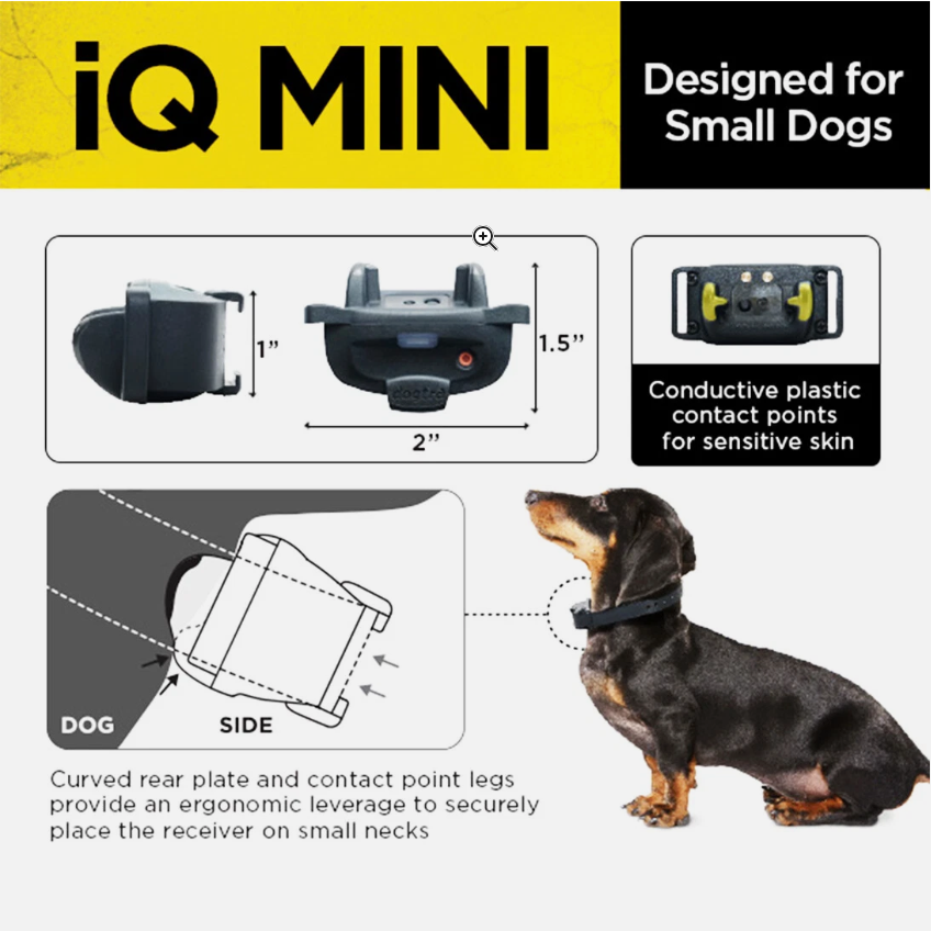 Dogtra IQ Mini 2-Dogs Remote Dog Training System for Smaller Dogs - 400 Yard Range - Shopinapets Dogtra IQ Mini 2-Dogs Remote Dog Training System for Smaller Dogs - 400 Yard Range Shopinapets #