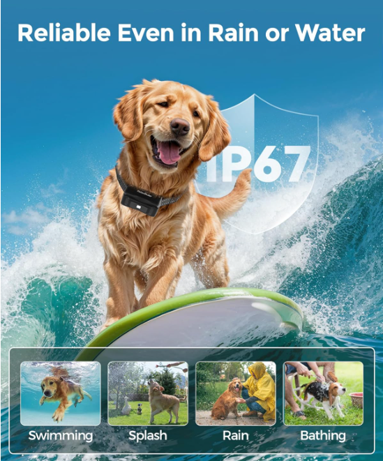 Dual Dog Training System - 4000FT Range, Waterproof - Shopinapets Dual Dog Training System - 4000FT Range, Waterproof Shopinapets #