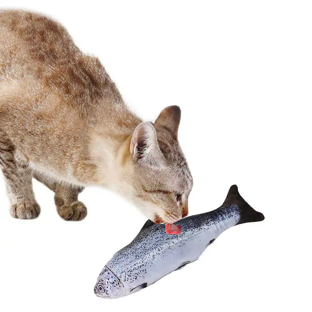 Feline Fun Fish Toy - Shopinapets Feline Fun Fish Toy Shopinapets #
