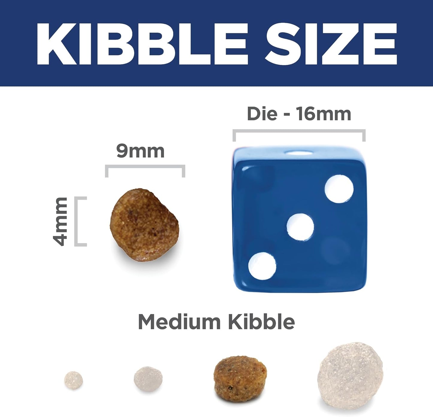 Image illustrating kibble sizes: a piece labelled 4mm, a medium kibble at 9mm, and a blue die for reference at 16mm.