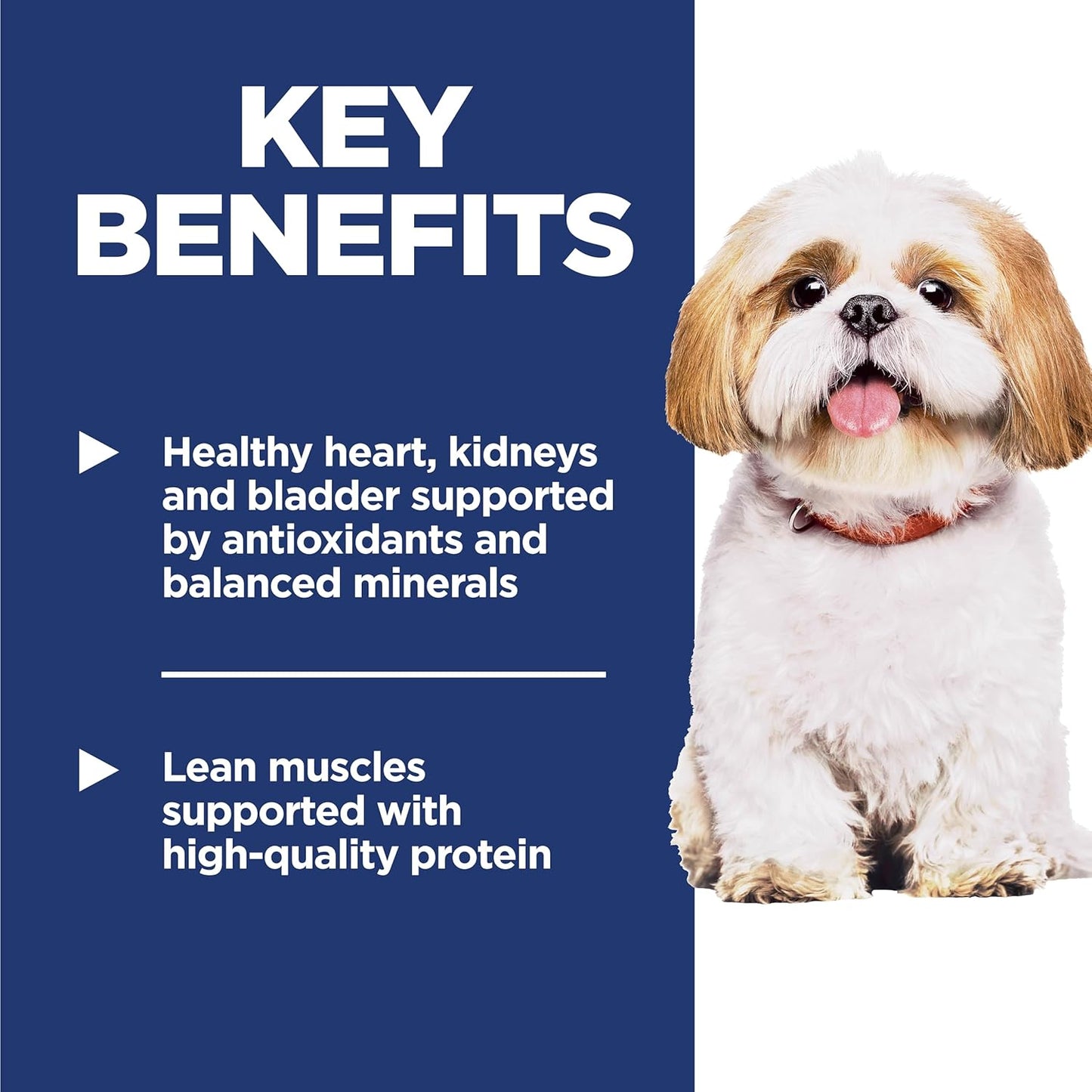 White fluffy dog beside text highlighting key benefits: healthy organs supported by antioxidants and lean muscles from high-quality protein.