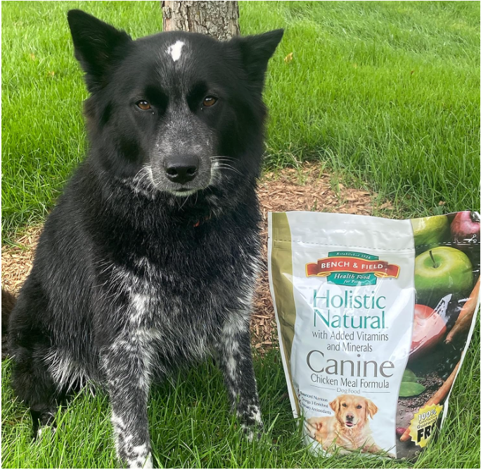 Holistic Chicken & Brown Rice Adult Dog Food 6.6lb - Shopinapets Holistic Chicken & Brown Rice Adult Dog Food 6.6lb Shopinapets #