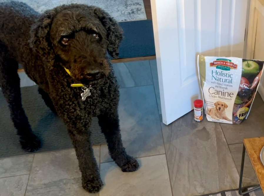 Holistic Chicken & Brown Rice Adult Dog Food 6.6lb - Shopinapets Holistic Chicken & Brown Rice Adult Dog Food 6.6lb Shopinapets #