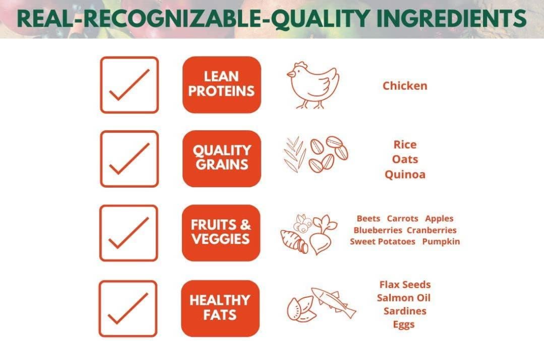 Holistic Chicken & Brown Rice Adult Dog Food 6.6lb - Shopinapets Holistic Chicken & Brown Rice Adult Dog Food 6.6lb Shopinapets #