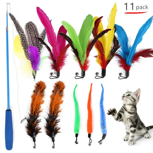 Indoor Cat Feather Frenzy Toy - Shopinapets Indoor Cat Feather Frenzy Toy Shopinapets #