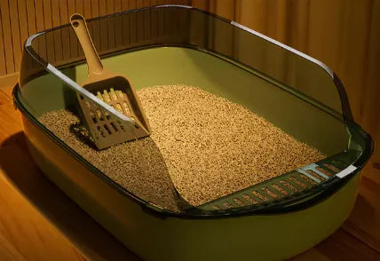 A green cat litter box with a scoop resting inside, filled with light-colored litter, illuminated softly from above.