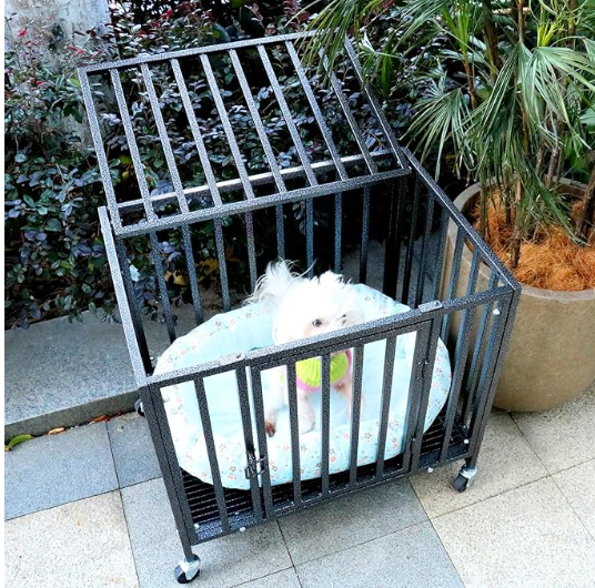 Loonpon Dog Crates are heavy-duty, metal double-door dog kennels designed for small dogs under 25 lbs. - Shopinapets Loonpon Dog Crates are heavy-duty, metal double-door dog kennels designed for small dogs under 25 lbs. Shopinapets #