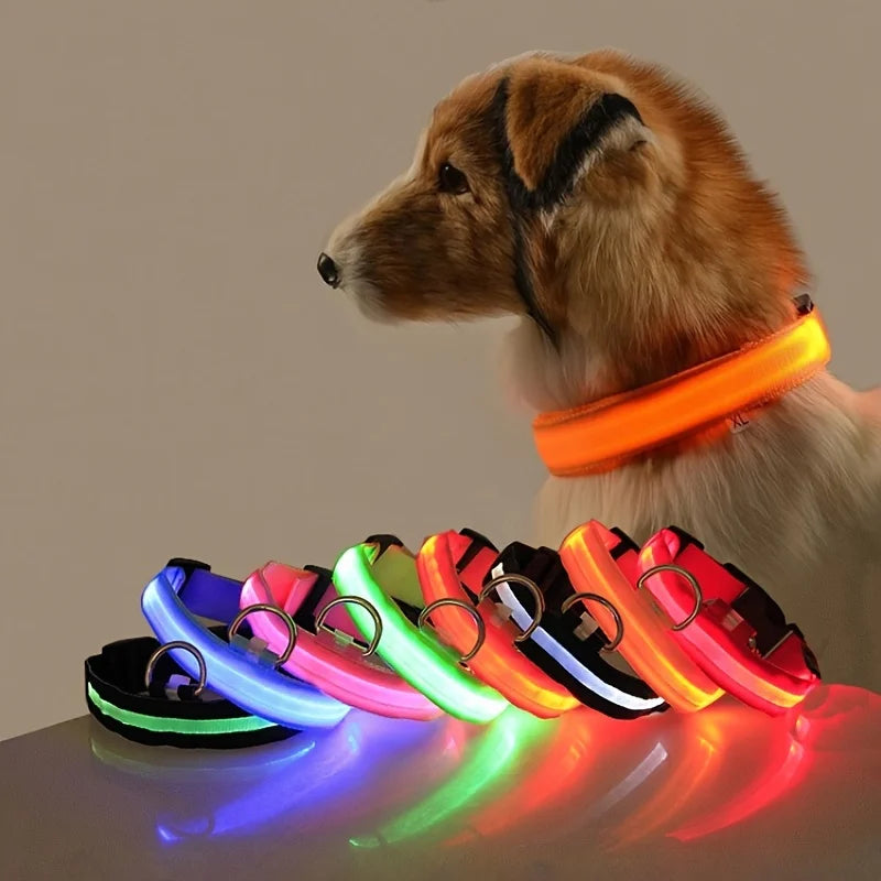 Luminous Dog Leash - Night Safety Flashing Glow - Shopinapets This nylon leash ensures your dog's safety without any highly concerned chemicals. The basic collar design is suitable for all dogs, making it a reliable and practical choice. Luminous Dog Leash - Night Safety Flashing Glow Shopinapets #