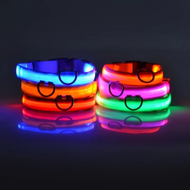 Luminous Dog Leash - Night Safety Flashing Glow - Shopinapets This nylon leash ensures your dog's safety without any highly concerned chemicals. The basic collar design is suitable for all dogs, making it a reliable and practical choice. Luminous Dog Leash - Night Safety Flashing Glow Shopinapets #