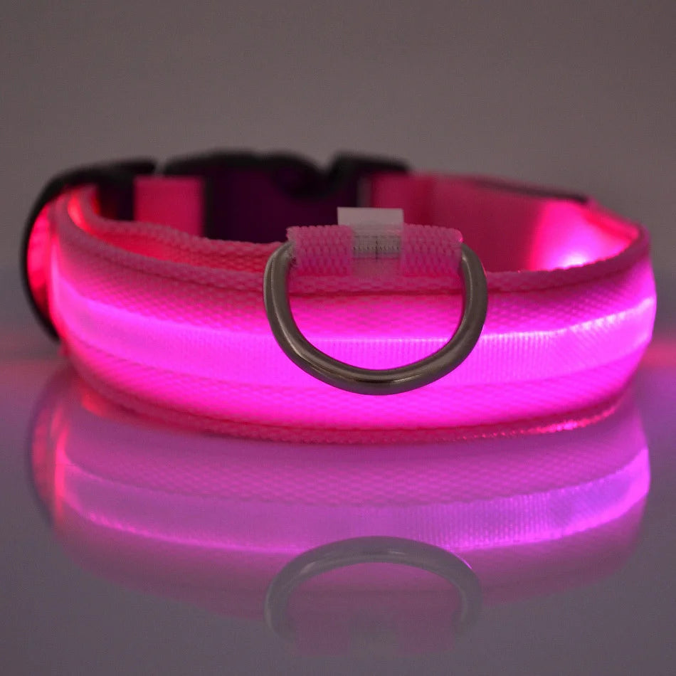 Luminous Dog Leash - Night Safety Flashing Glow - Shopinapets This nylon leash ensures your dog's safety without any highly concerned chemicals. The basic collar design is suitable for all dogs, making it a reliable and practical choice. Luminous Dog Leash - Night Safety Flashing Glow Shopinapets #