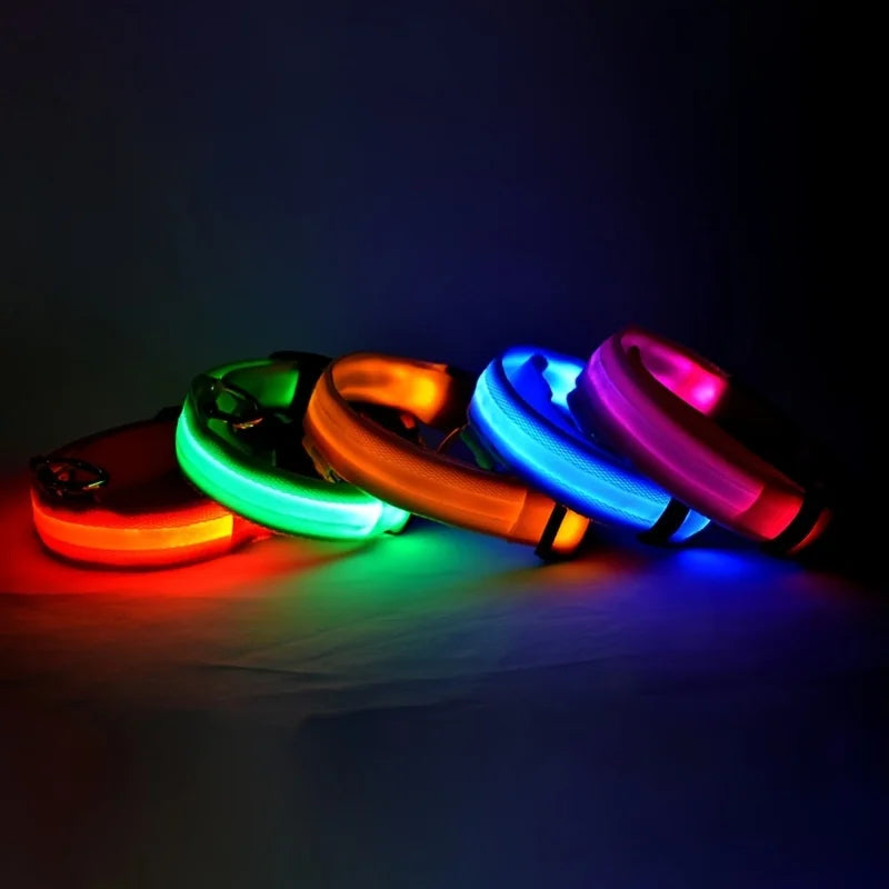Luminous Dog Leash - Night Safety Flashing Glow - Shopinapets This nylon leash ensures your dog's safety without any highly concerned chemicals. The basic collar design is suitable for all dogs, making it a reliable and practical choice. Luminous Dog Leash - Night Safety Flashing Glow Shopinapets #
