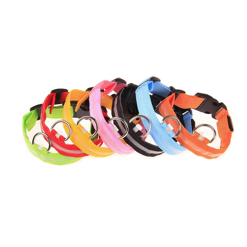Luminous Dog Leash - Night Safety Flashing Glow - Shopinapets This nylon leash ensures your dog's safety without any highly concerned chemicals. The basic collar design is suitable for all dogs, making it a reliable and practical choice. Luminous Dog Leash - Night Safety Flashing Glow Shopinapets #