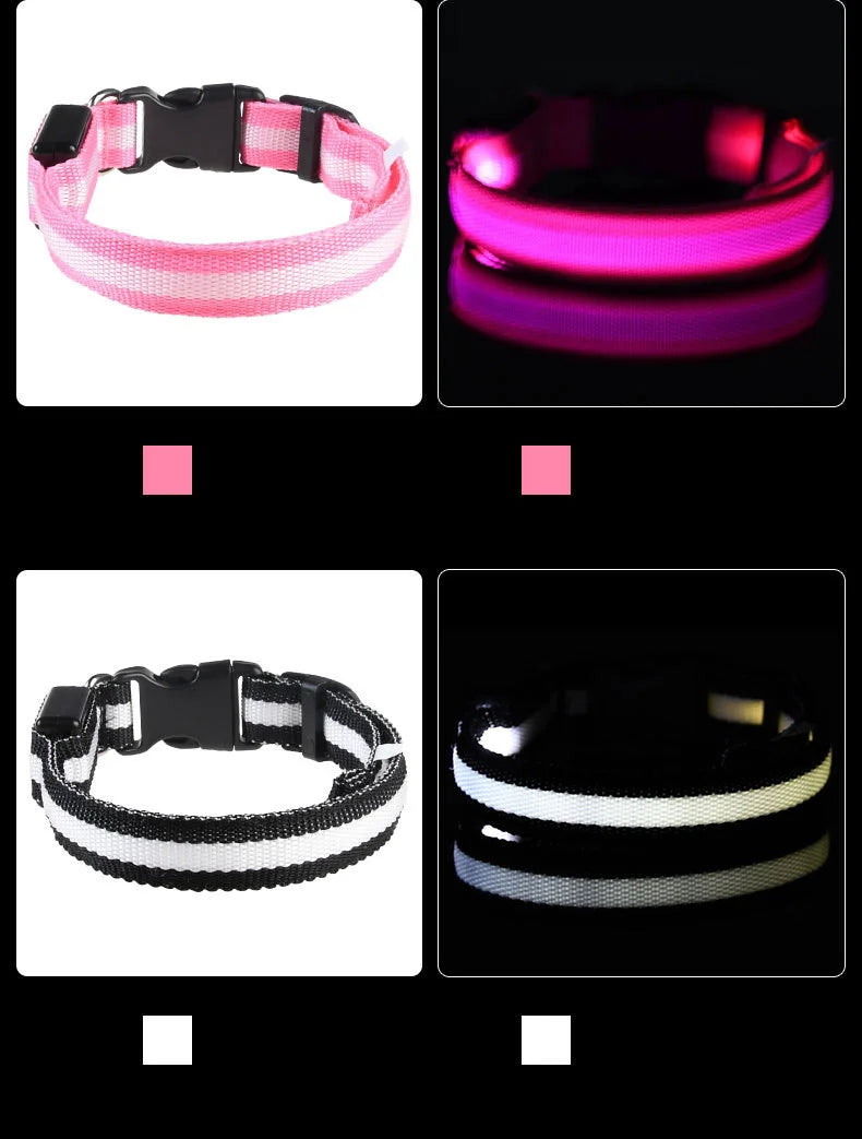 Luminous Dog Leash - Night Safety Flashing Glow - Shopinapets This nylon leash ensures your dog's safety without any highly concerned chemicals. The basic collar design is suitable for all dogs, making it a reliable and practical choice. Luminous Dog Leash - Night Safety Flashing Glow Shopinapets #