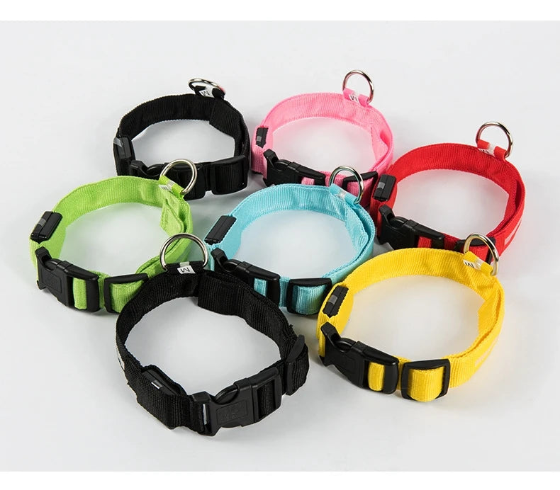 Luminous Dog Leash - Night Safety Flashing Glow - Shopinapets This nylon leash ensures your dog's safety without any highly concerned chemicals. The basic collar design is suitable for all dogs, making it a reliable and practical choice. Luminous Dog Leash - Night Safety Flashing Glow Shopinapets #