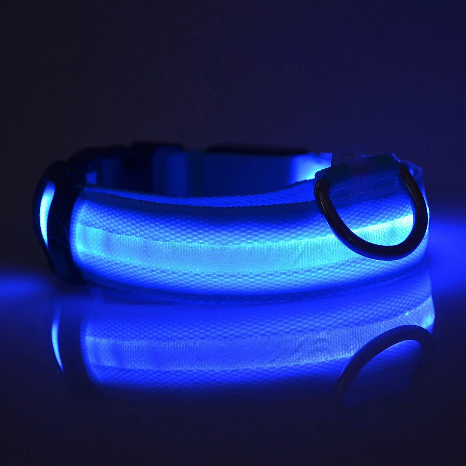 Luminous Dog Leash - Night Safety Flashing Glow - Shopinapets This nylon leash ensures your dog's safety without any highly concerned chemicals. The basic collar design is suitable for all dogs, making it a reliable and practical choice. Luminous Dog Leash - Night Safety Flashing Glow Shopinapets #