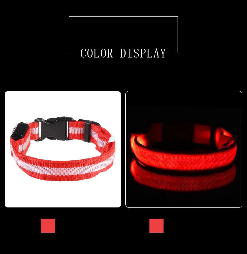 Luminous Dog Leash - Night Safety Flashing Glow - Shopinapets This nylon leash ensures your dog's safety without any highly concerned chemicals. The basic collar design is suitable for all dogs, making it a reliable and practical choice. Luminous Dog Leash - Night Safety Flashing Glow Shopinapets #