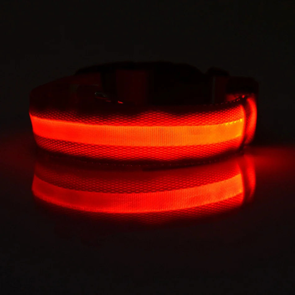 Luminous Dog Leash - Night Safety Flashing Glow - Shopinapets This nylon leash ensures your dog's safety without any highly concerned chemicals. The basic collar design is suitable for all dogs, making it a reliable and practical choice. Luminous Dog Leash - Night Safety Flashing Glow Shopinapets #
