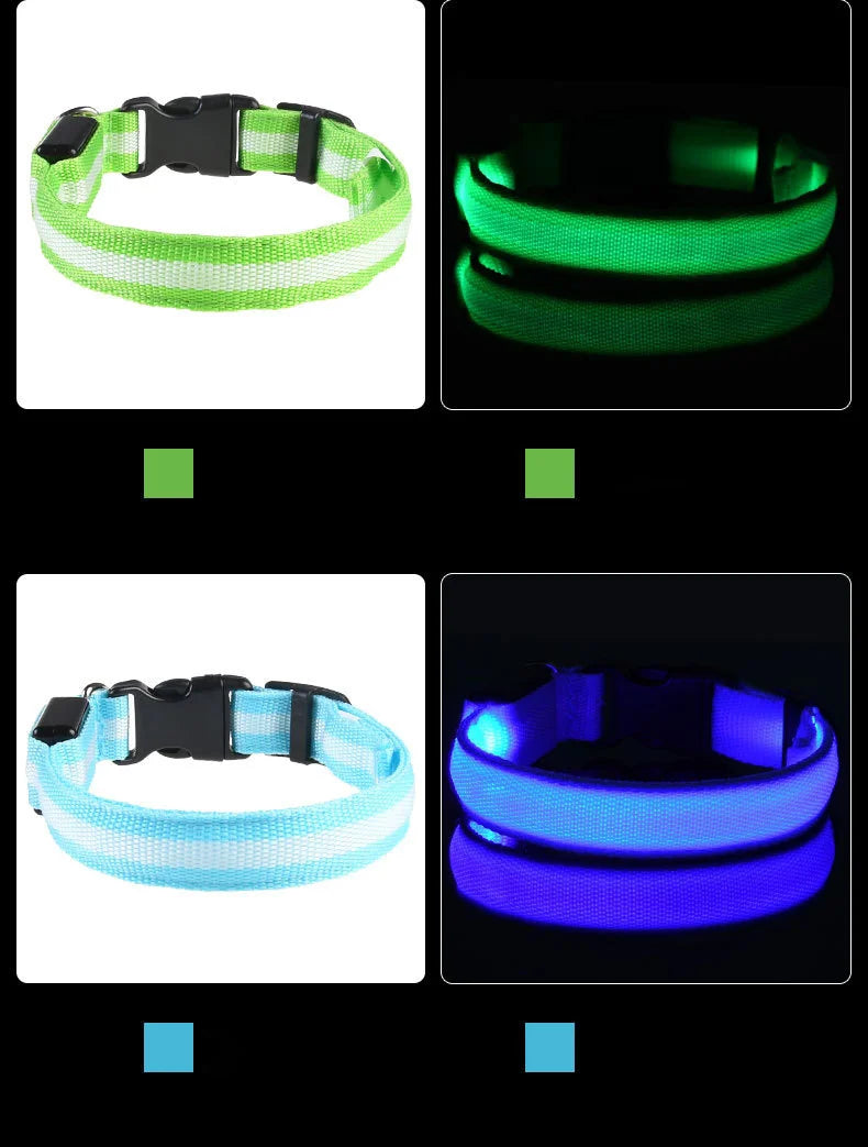 Luminous Dog Leash - Night Safety Flashing Glow - Shopinapets This nylon leash ensures your dog's safety without any highly concerned chemicals. The basic collar design is suitable for all dogs, making it a reliable and practical choice. Luminous Dog Leash - Night Safety Flashing Glow Shopinapets #