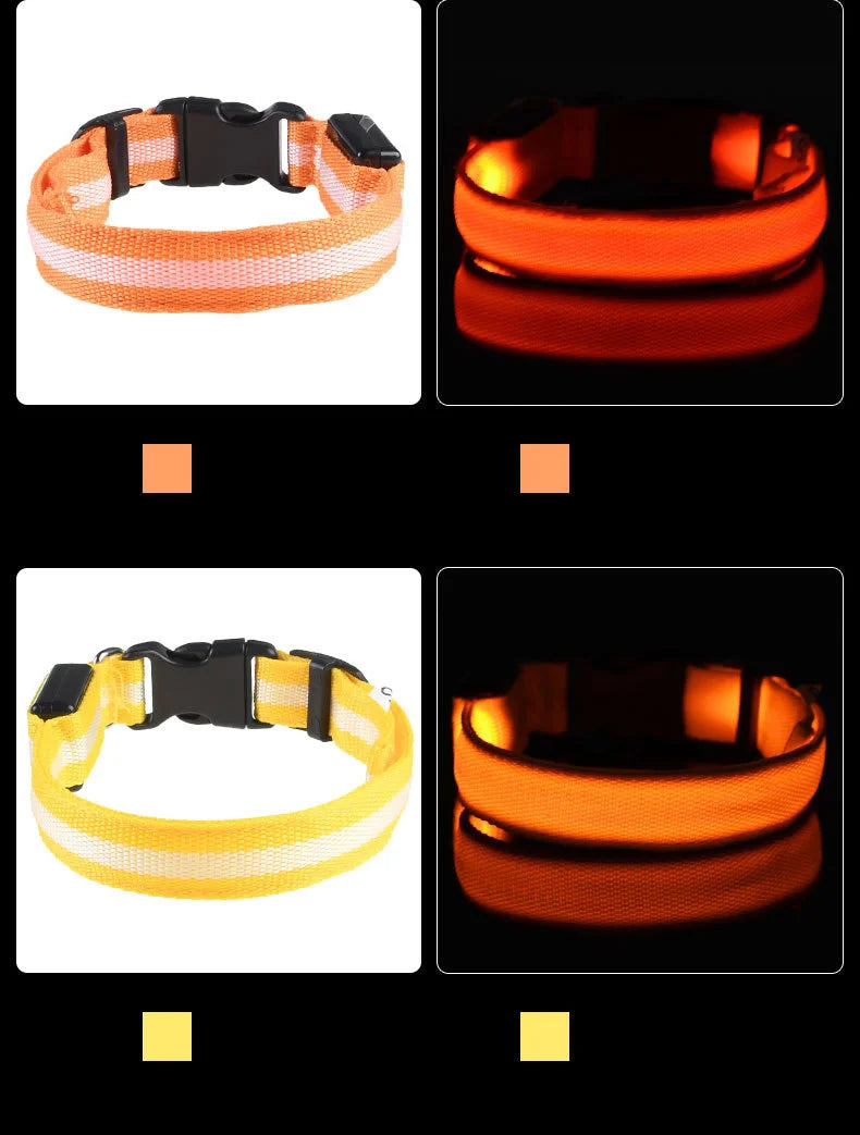 Luminous Dog Leash - Night Safety Flashing Glow - Shopinapets This nylon leash ensures your dog's safety without any highly concerned chemicals. The basic collar design is suitable for all dogs, making it a reliable and practical choice. Luminous Dog Leash - Night Safety Flashing Glow Shopinapets #