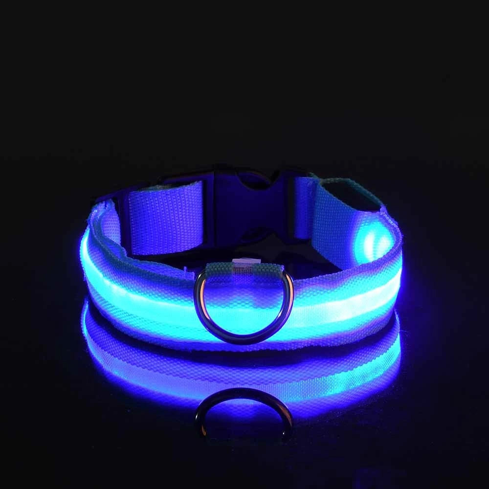 Luminous Dog Leash - Night Safety Flashing Glow - Shopinapets This nylon leash ensures your dog's safety without any highly concerned chemicals. The basic collar design is suitable for all dogs, making it a reliable and practical choice. Luminous Dog Leash - Night Safety Flashing Glow Shopinapets #