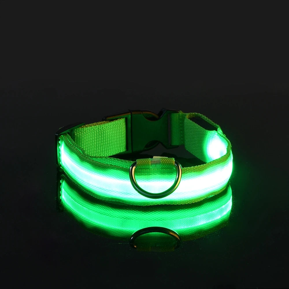 Luminous Dog Leash - Night Safety Flashing Glow - Shopinapets This nylon leash ensures your dog's safety without any highly concerned chemicals. The basic collar design is suitable for all dogs, making it a reliable and practical choice. Luminous Dog Leash - Night Safety Flashing Glow Shopinapets #