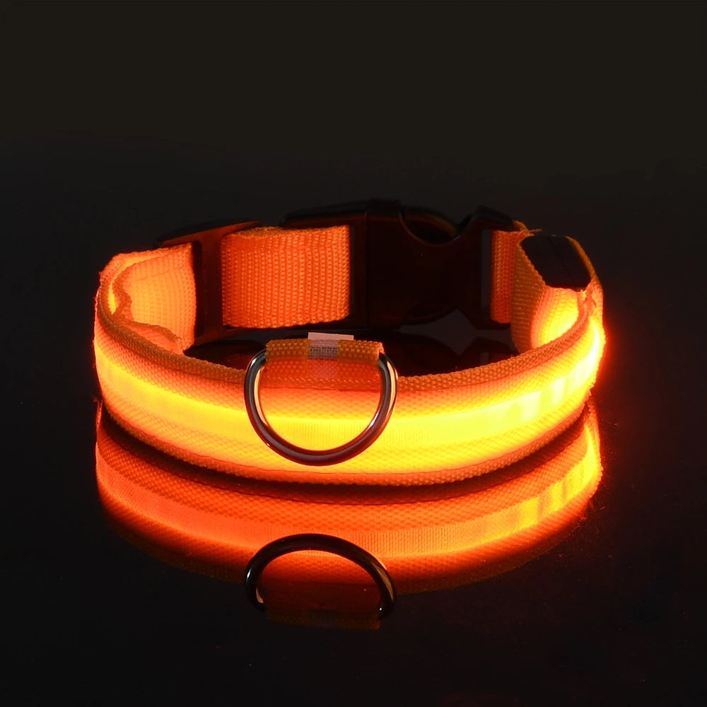 Luminous Dog Leash - Night Safety Flashing Glow - Shopinapets This nylon leash ensures your dog's safety without any highly concerned chemicals. The basic collar design is suitable for all dogs, making it a reliable and practical choice. Luminous Dog Leash - Night Safety Flashing Glow Shopinapets #