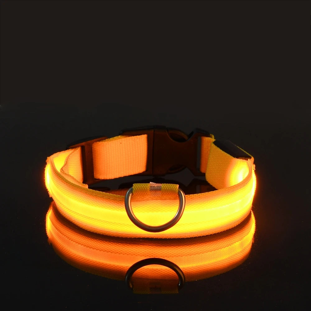 Luminous Dog Leash - Night Safety Flashing Glow - Shopinapets This nylon leash ensures your dog's safety without any highly concerned chemicals. The basic collar design is suitable for all dogs, making it a reliable and practical choice. Luminous Dog Leash - Night Safety Flashing Glow Shopinapets #