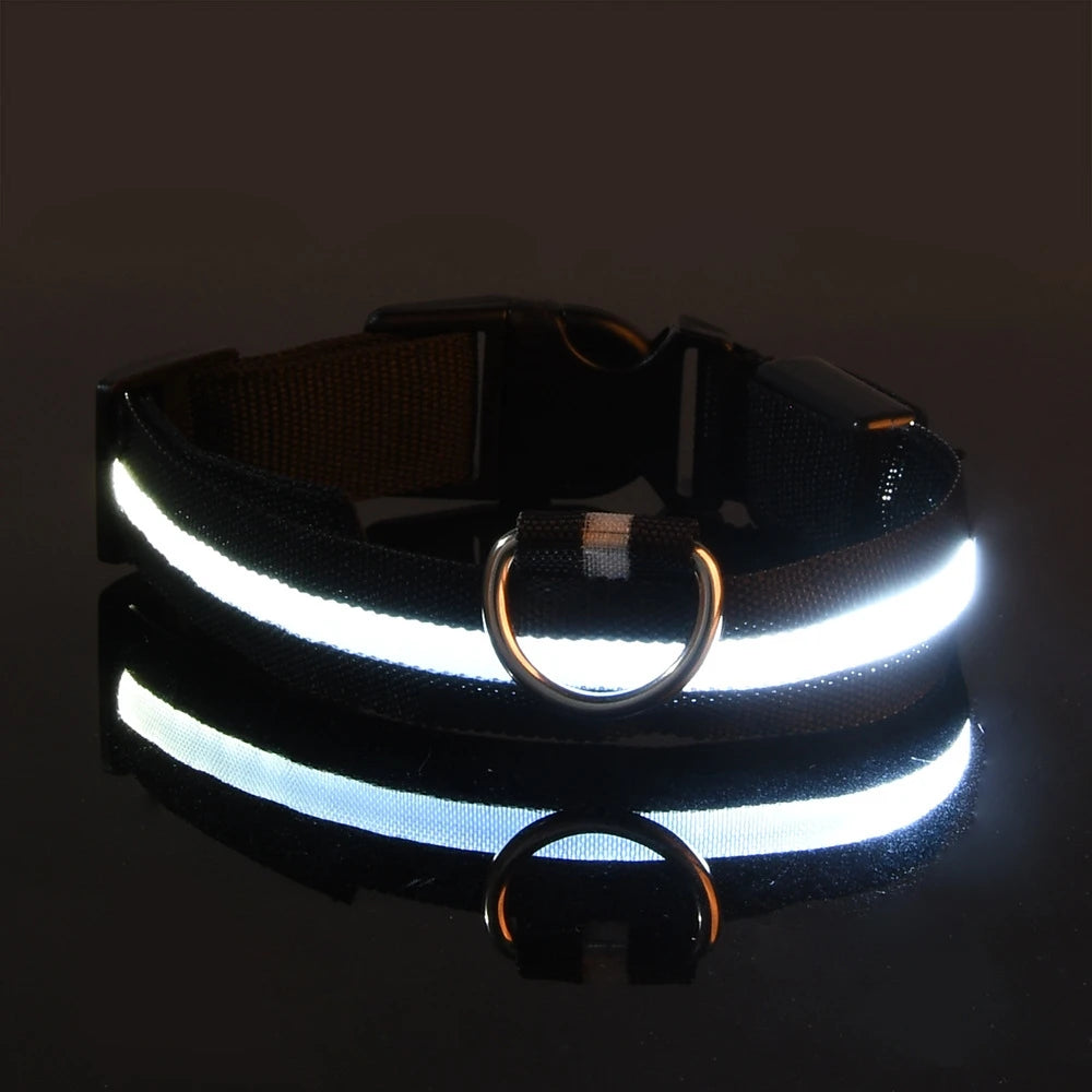 Luminous Dog Leash - Night Safety Flashing Glow - Shopinapets This nylon leash ensures your dog's safety without any highly concerned chemicals. The basic collar design is suitable for all dogs, making it a reliable and practical choice. Luminous Dog Leash - Night Safety Flashing Glow Shopinapets #