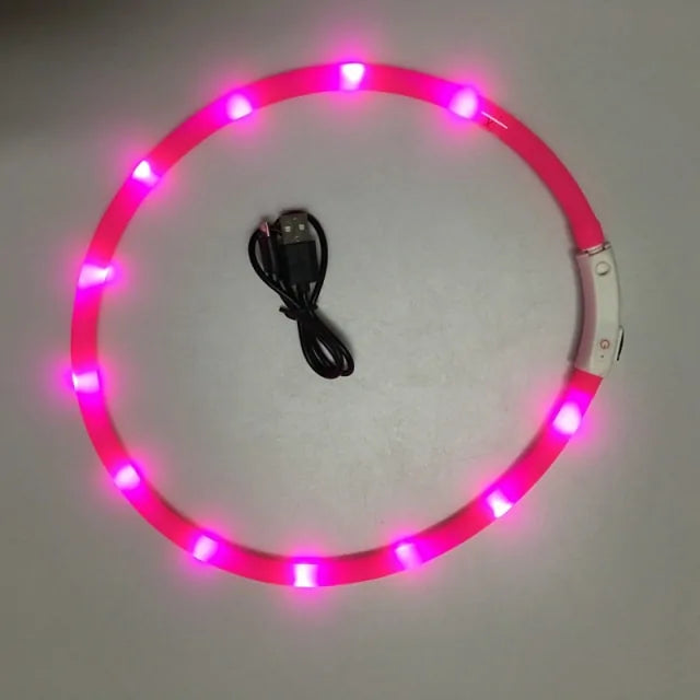 Luminous, stylish and safety Pet Collar - Shopinapets Luminous, stylish and safety Pet Collar Shopinapets #