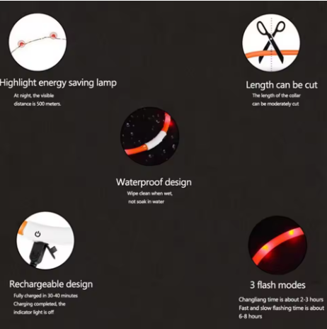Luminous, stylish and safety Pet Collar - Shopinapets Luminous, stylish and safety Pet Collar Shopinapets #