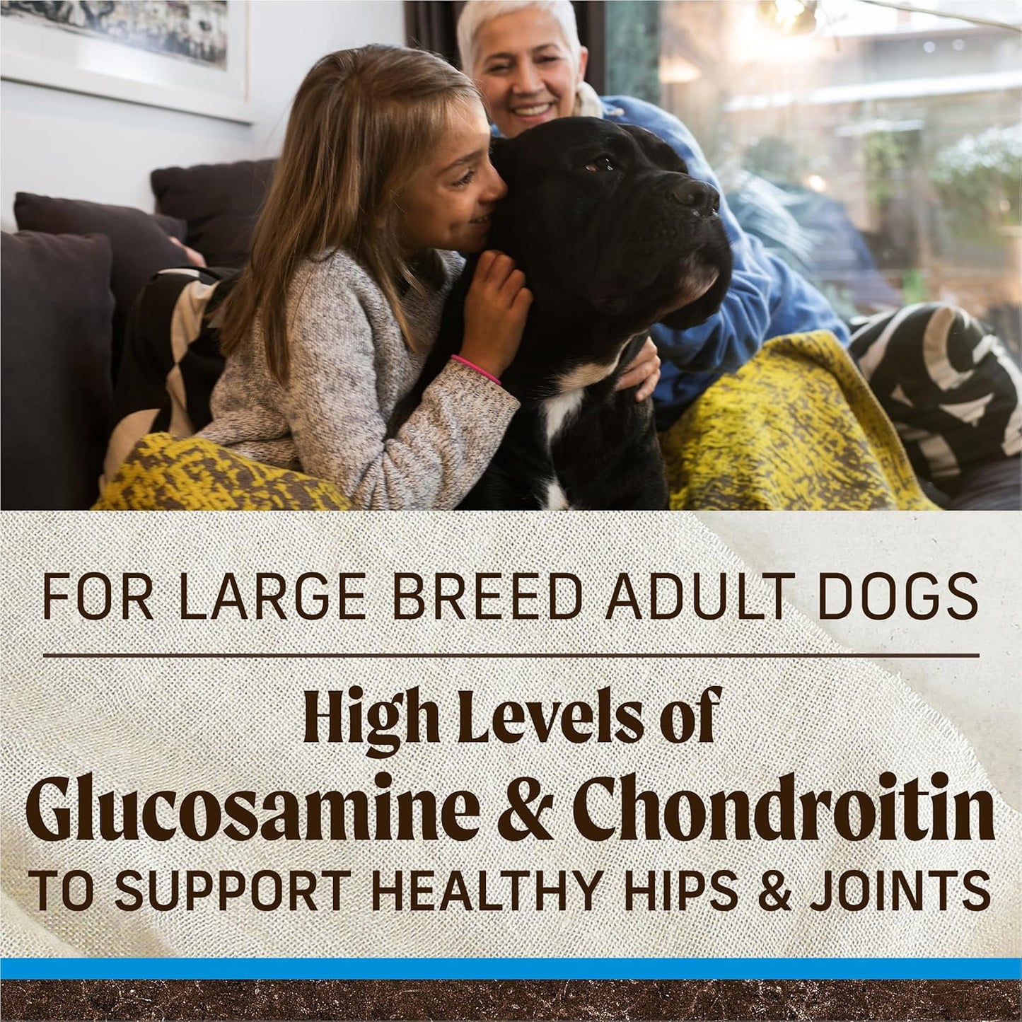 A child sitting on a couch, gently petting a large dog, with text about glucosamine and chondroitin for large breed adult dogs.A child sitting on a couch, gently petting a large dog, with text about glucosamine and chondroitin for large breed adult dogs.
