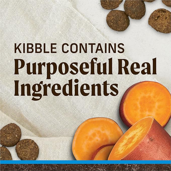 Text overlay stating "Kibble Contains Purposeful Real Ingredients" with sweet potatoes and kibble pieces on a textured surface.